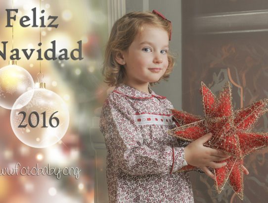 Reportajes Fotográficos de Navidad en Granada